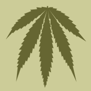 marihuana uzależnia